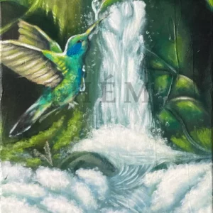 Baignade du colibris