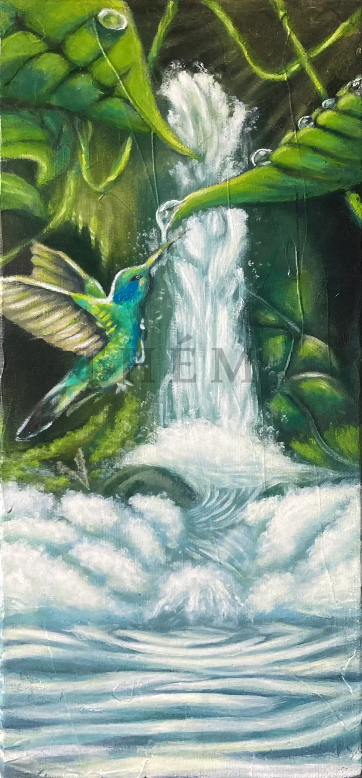 Baignade du colibris